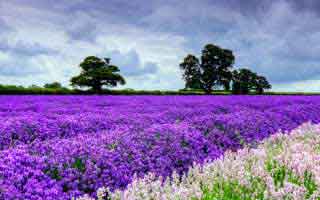 重磅揭秘吉祥麻将 外卦神器下载安装+透视挂(必备)详细教程最新辅助