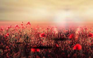 [教程经验]途游四川麻将辅助器免费安装(必备工具)详细辅助2025