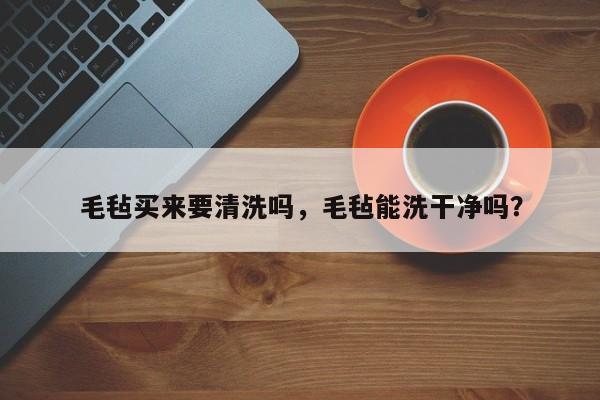 毛毡买来要清洗吗，毛毡能洗干净吗？