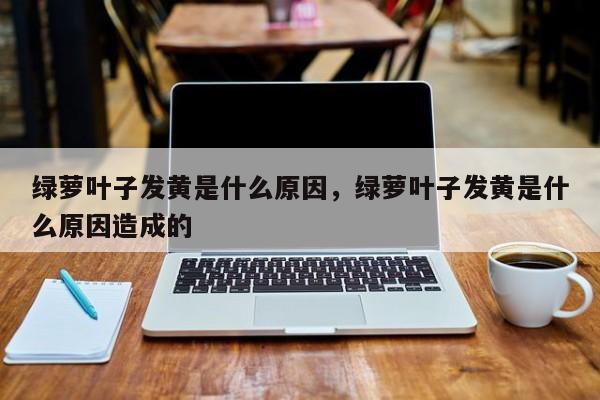 绿萝叶子发黄是什么原因，绿萝叶子发黄是什么原因造成的